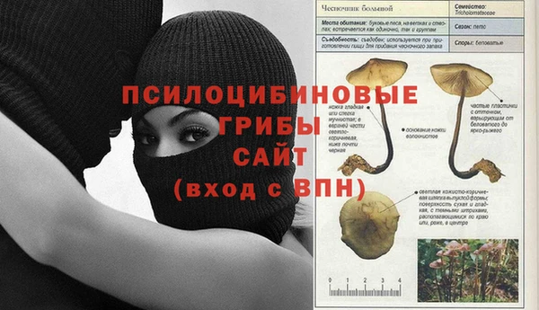 героин Богданович