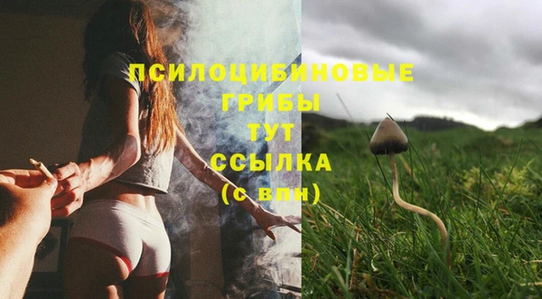 героин Богданович