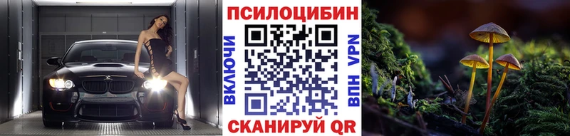 Купить закладки  Красный Кут  Галлюциногенные грибы мухоморы 